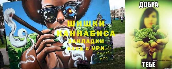 ПСИЛОЦИБИНОВЫЕ ГРИБЫ Баксан