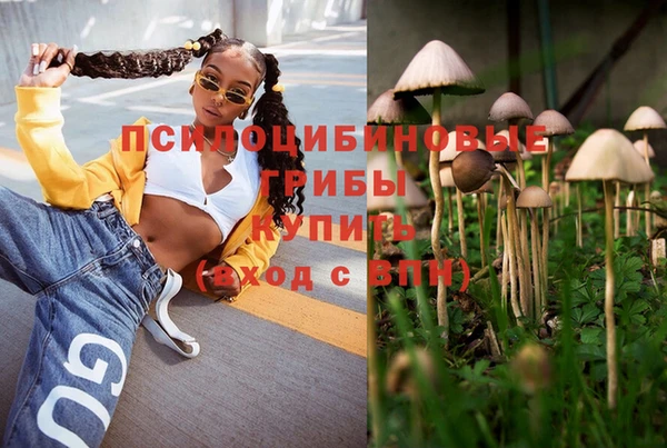 ECSTASY Балахна