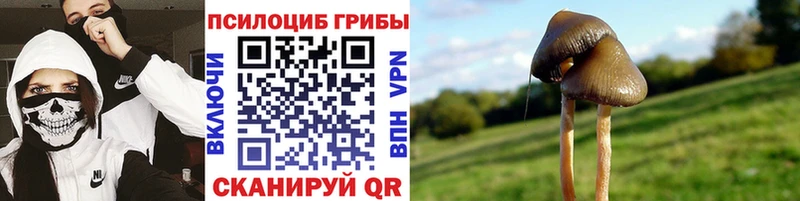 Псилоцибиновые грибы мухоморы  цены наркотик  Теберда 